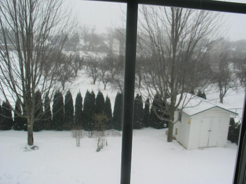 Arnica Bed & Breakfast Bed & Breakfast Niagara-on-the-Lake Exterior photo